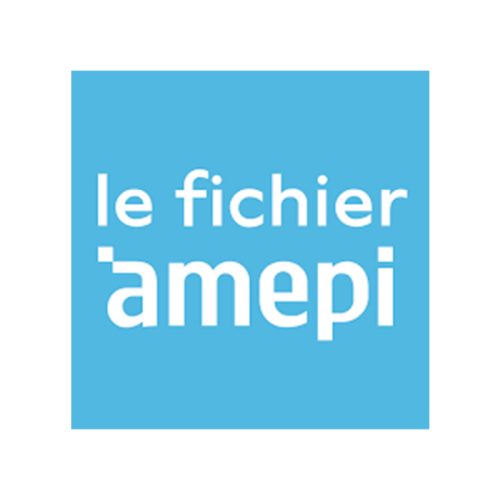 logo-amepi